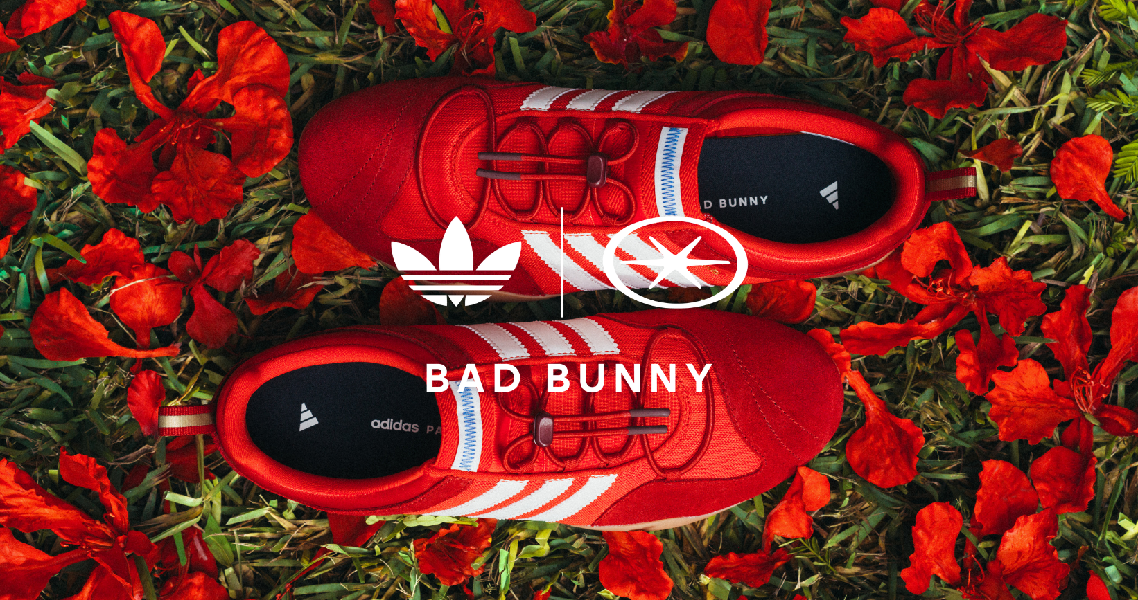 Products – Adidas para Bad Bunny